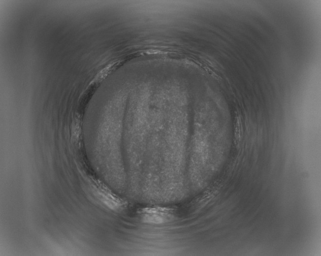 X0000078860367200612111654