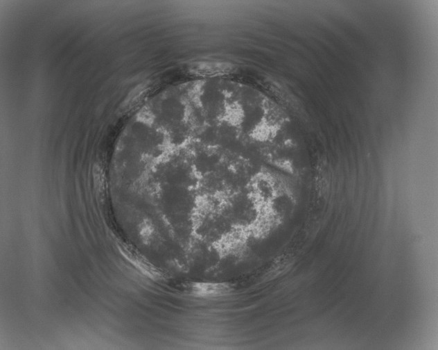 X0000078860371200612111654