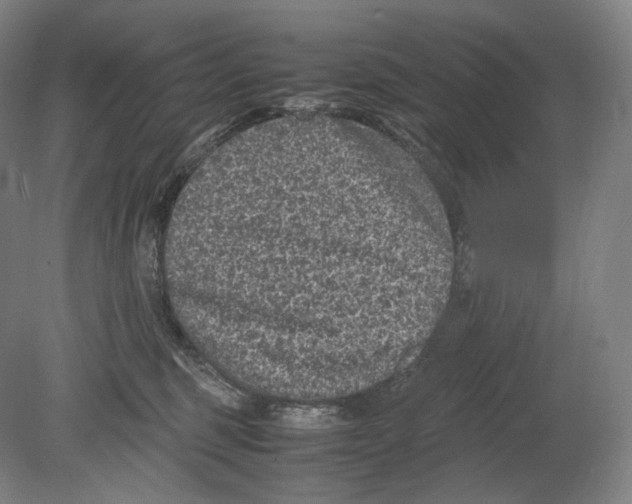 X0000078860375200612111654