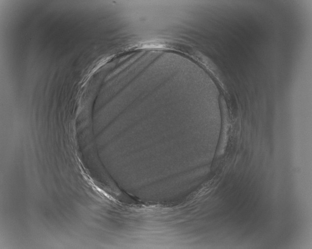 X0000078860385200612111653
