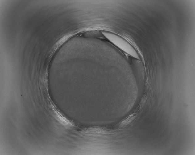 X0000078860389200612111653