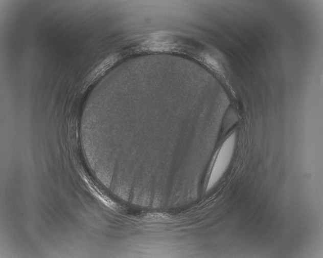 X0000078860397200612111653