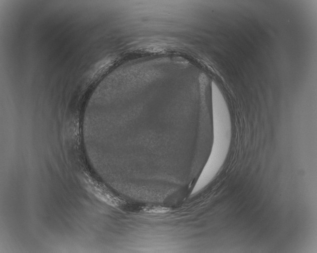 X0000078860407200612111653