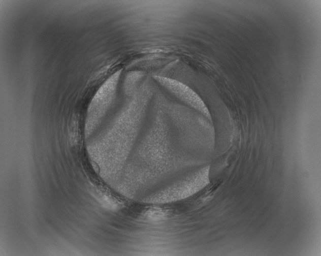 X0000078860416200612111653