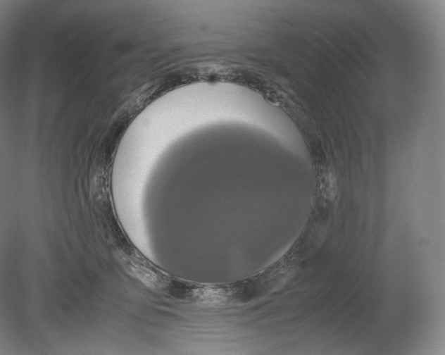 X0000078860419200612111652