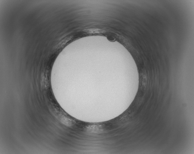 X0000078860422200612111652