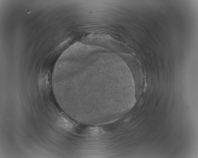 X0000078860424200612111652