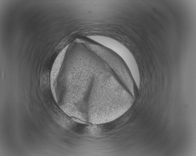 X0000078860425200612111652