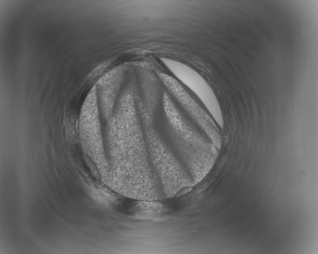 X0000078860429200612111652