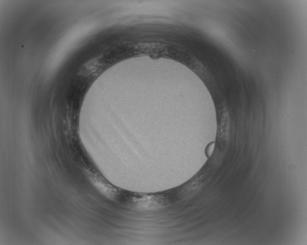 X0000078860430200612111652