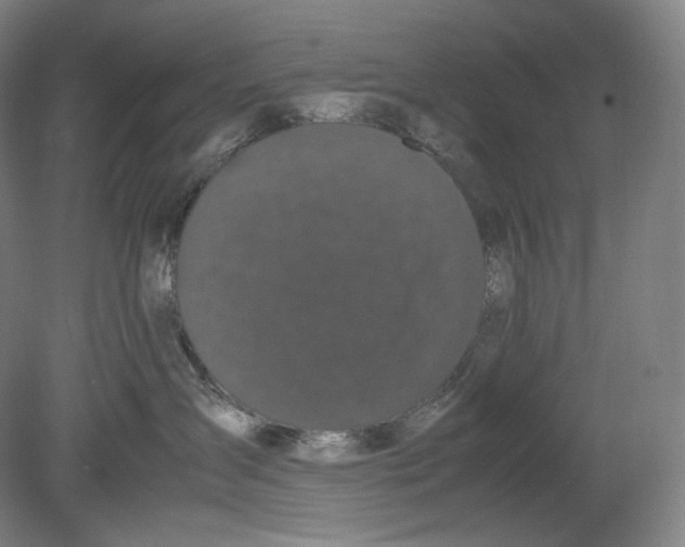 X0000078860431200612111652