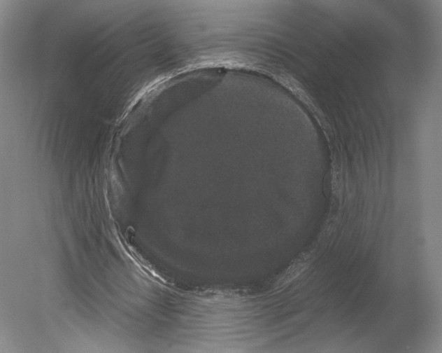 X0000078860434200612111651