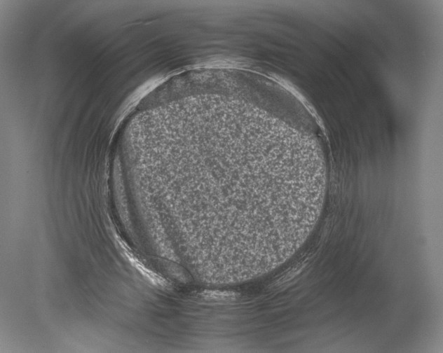 X0000078860437200612111652