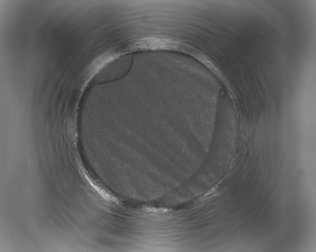 X0000078860438200612111652