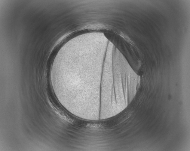 X0000078860440200612111652