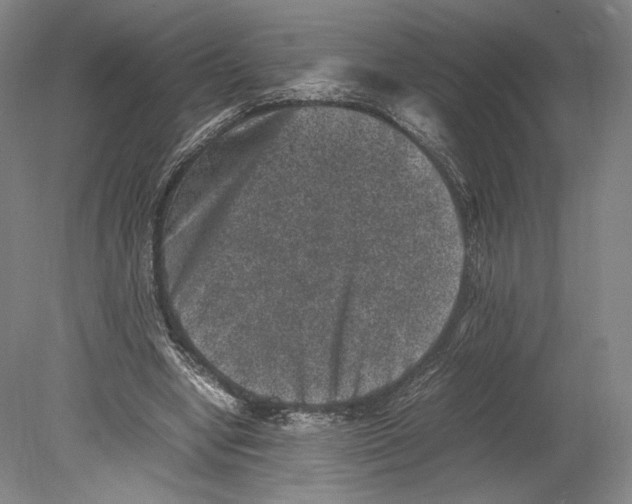 X0000078860442200612111652