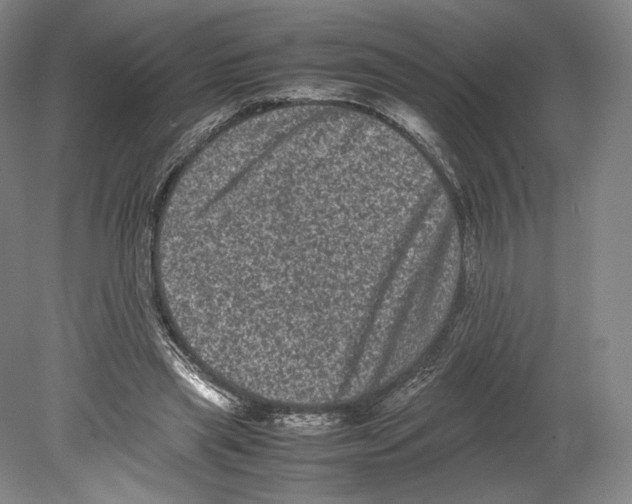 X0000078860445200612111652