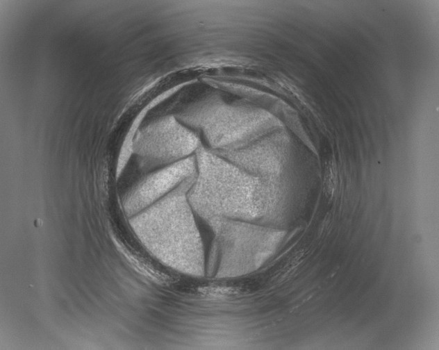 X0000078860448200612111652