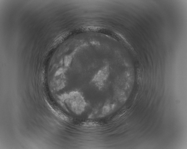 X0000078860451200612111652
