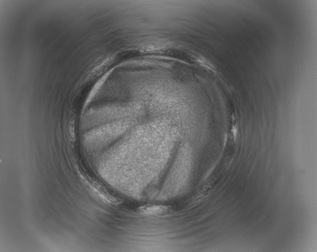 X0000078860452200612111652