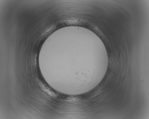 X0000078860454200612111652