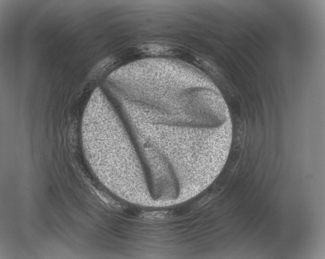 X0000078860461200612111652
