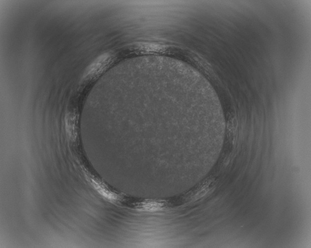 X0000078860462200612111652