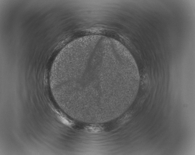 X0000078860466200612111652