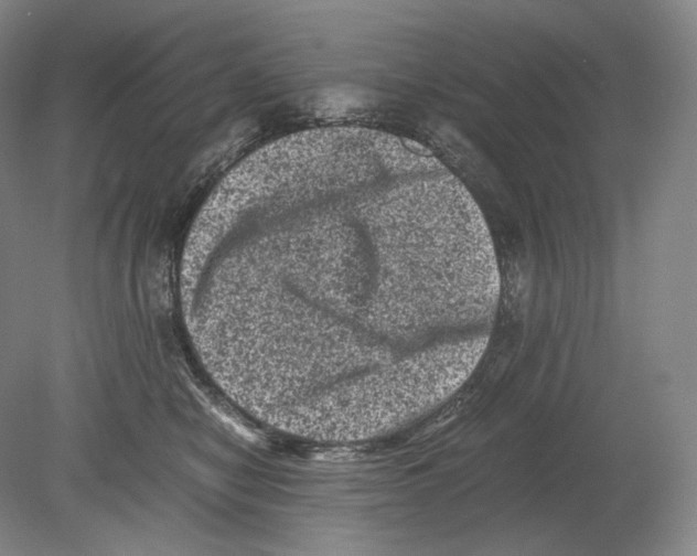 X0000078860470200612111652