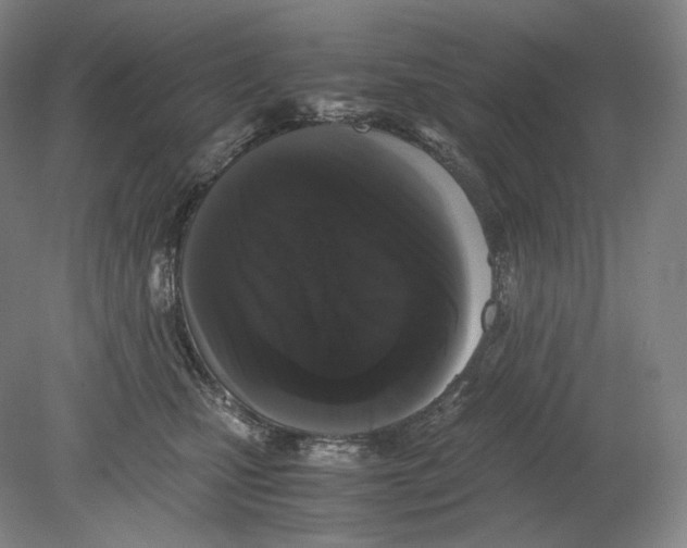 X0000078860471200612111652