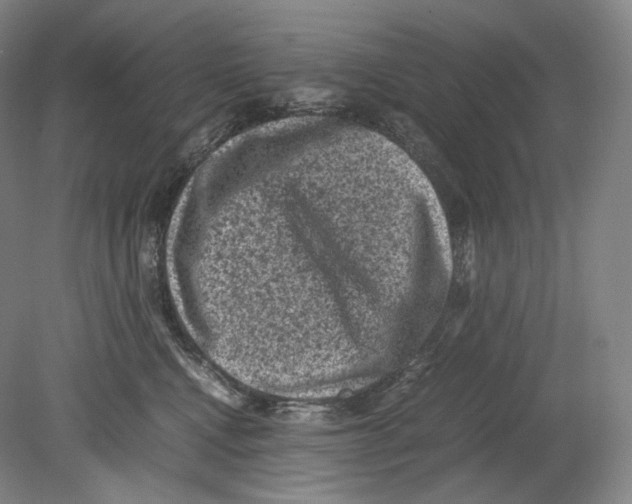 X0000078860472200612111652