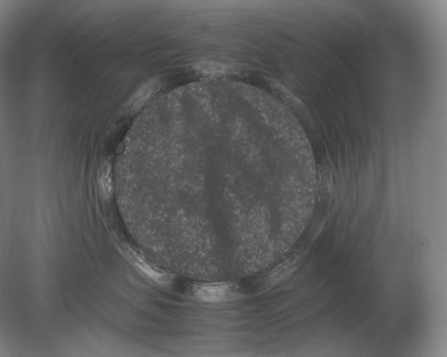X0000078860479200612111652