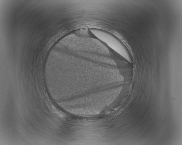 X0000078860481200612111651