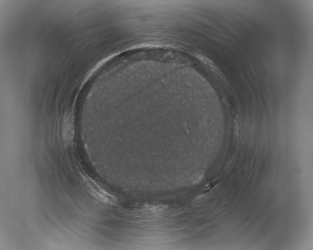 X0000078860484200612111651