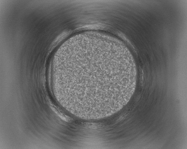X0000078860486200612111651