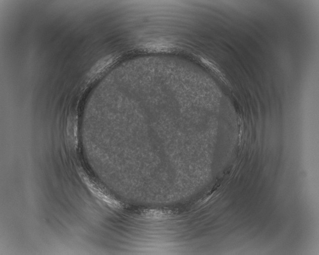 X0000078860494200612111651