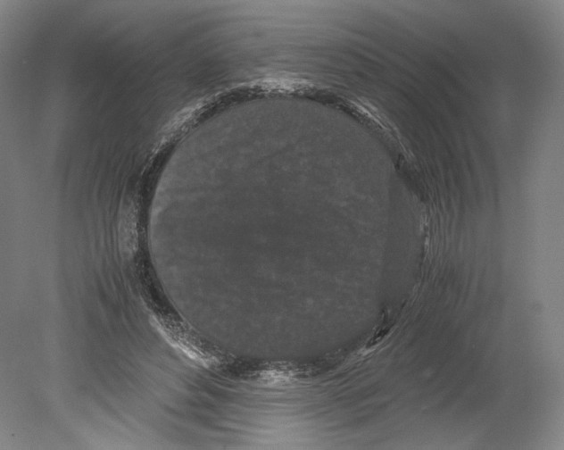 X0000078860496200612111651