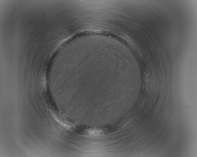 X0000078860500200612111651