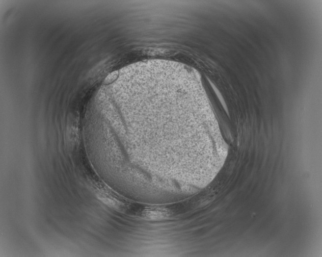 X0000078860510200612111651