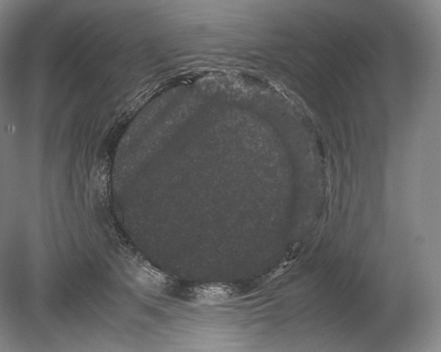 X0000078860513200612111651