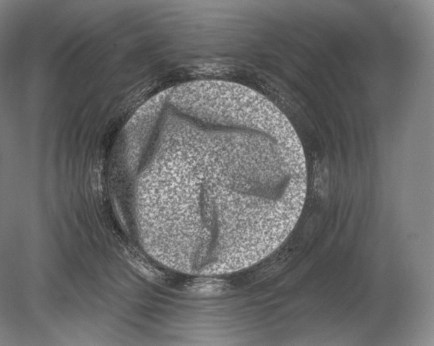 X0000078860514200612111651