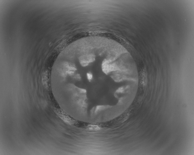 X0000078860519200612111651