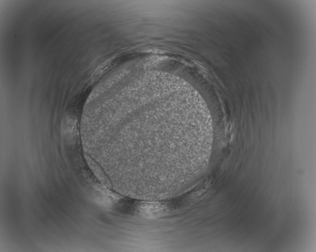 X0000078860521200612111651