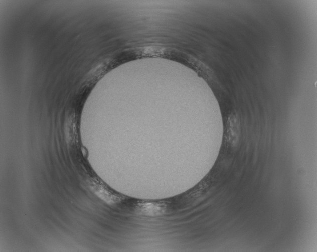 X0000078860522200612111651