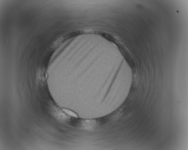 X0000078860525200612111651