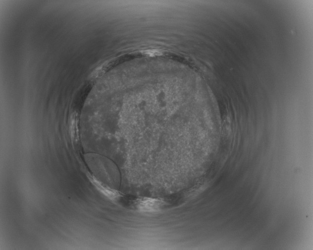 X0000078860527200612111651