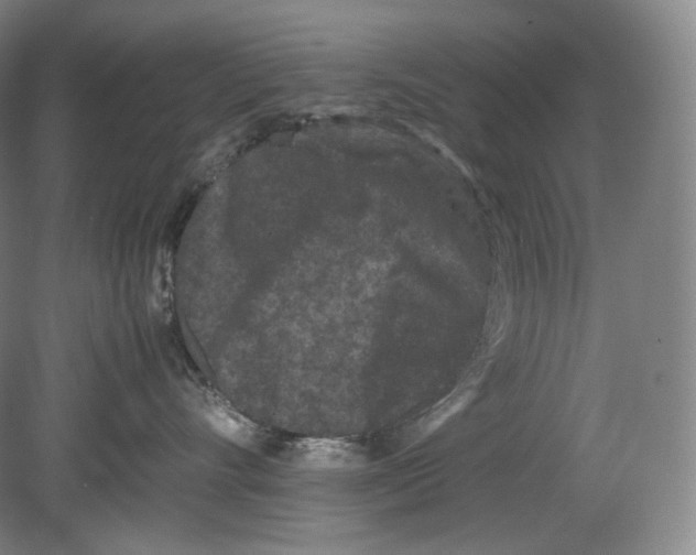 X0000078860528200612111651