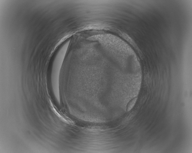 X0000078860530200612111650