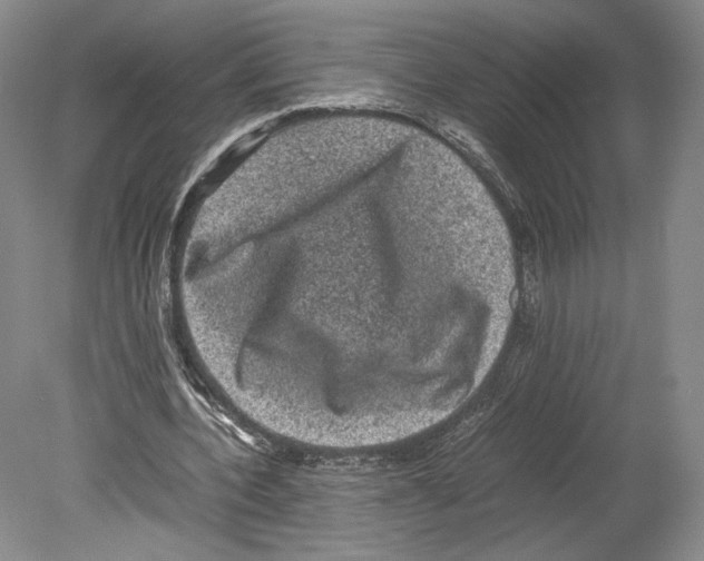 X0000078860532200612111650