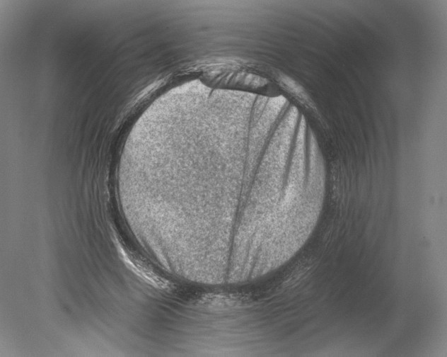 X0000078860538200612111650